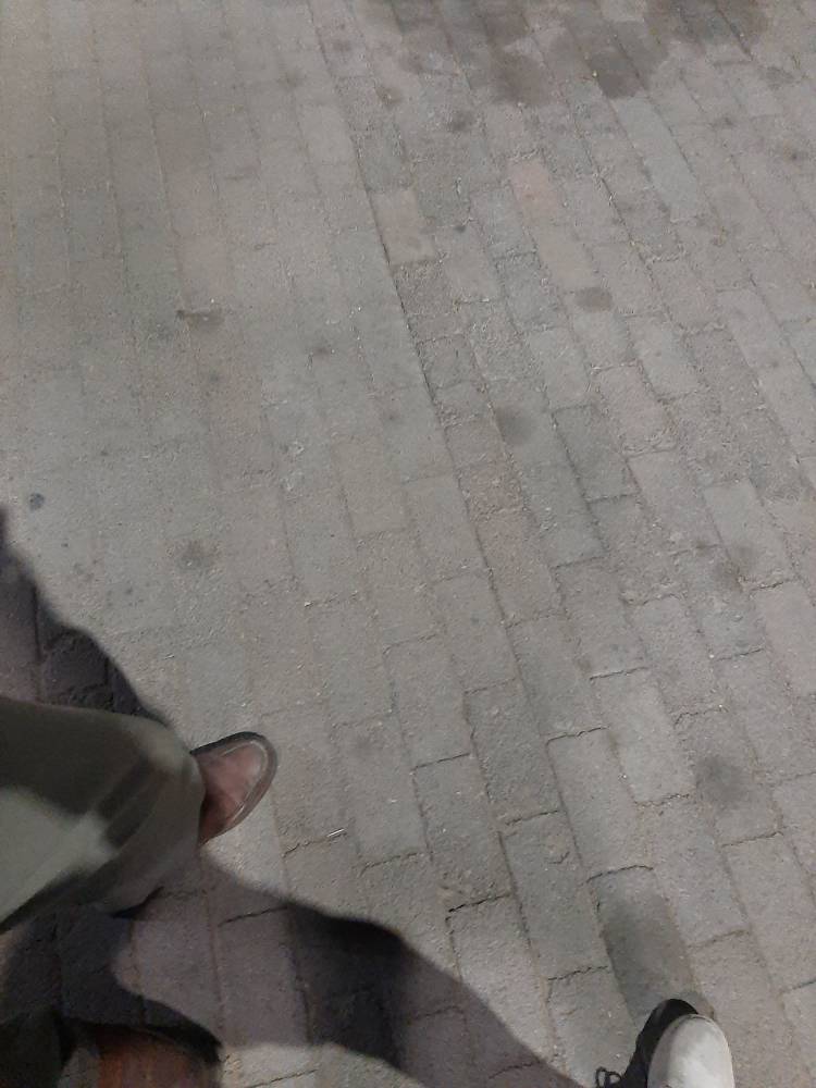 ابنبات بلژیکی  260گرمی ادرین