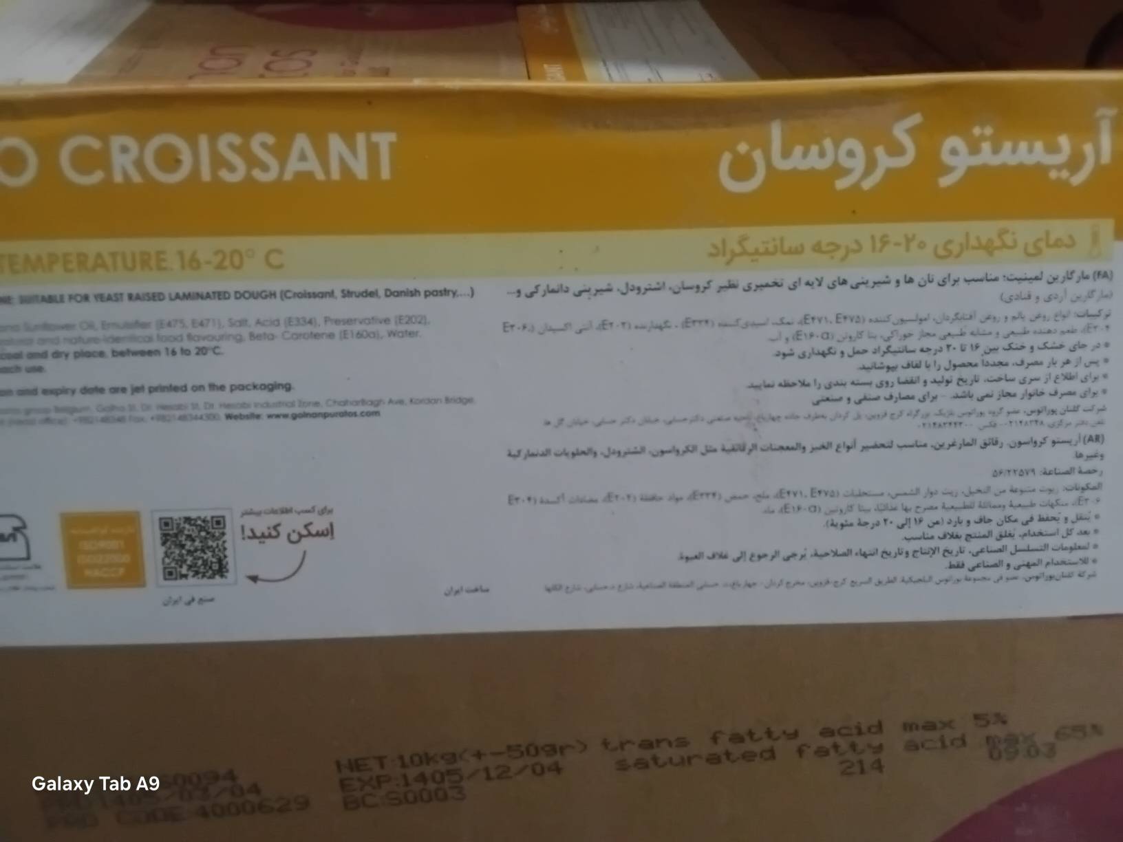 اریستو کروسان گلنان